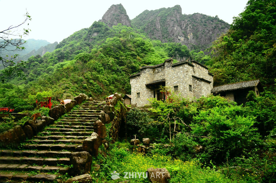 衢州药王山的猴群和山野瀑布 4
