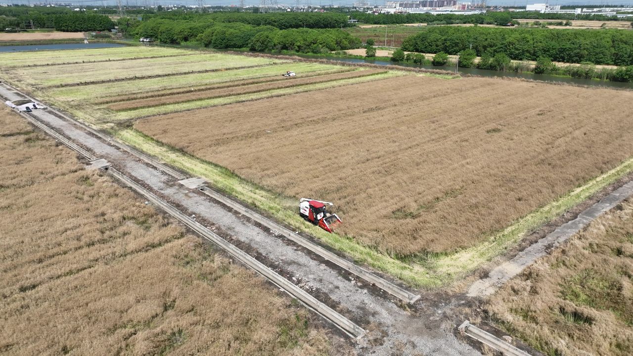 4K航拍昆山农业夏收 22