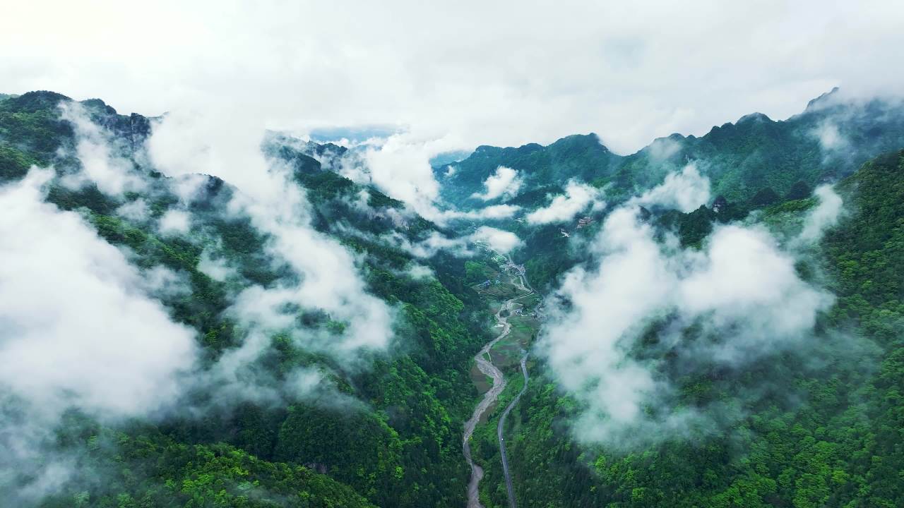 翠绿山峰云海景观