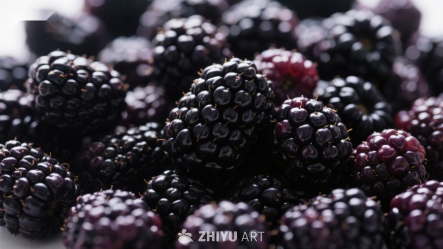 新鲜黑莓的特写镜头