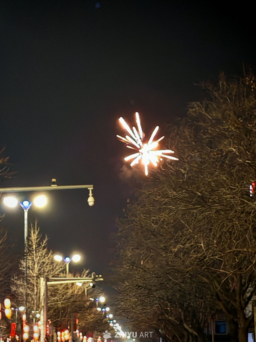 夜空中的烟花