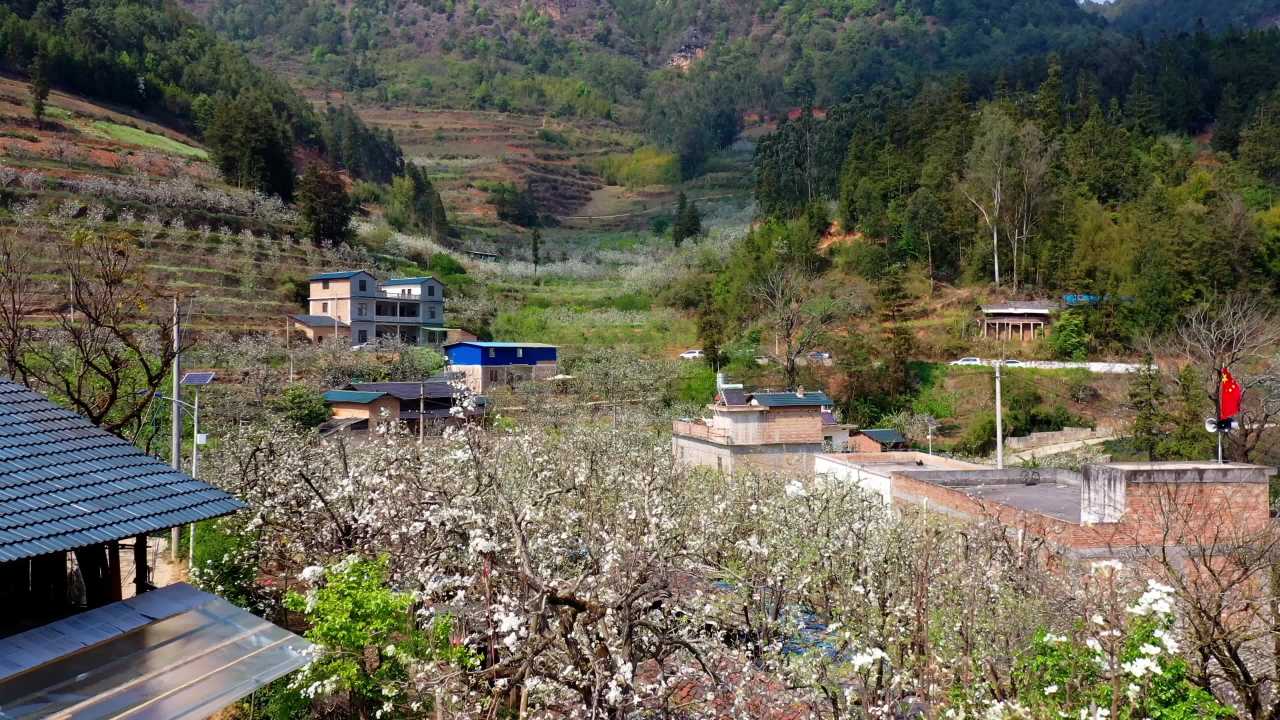 春日乡村风光