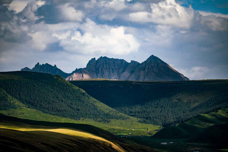山居
