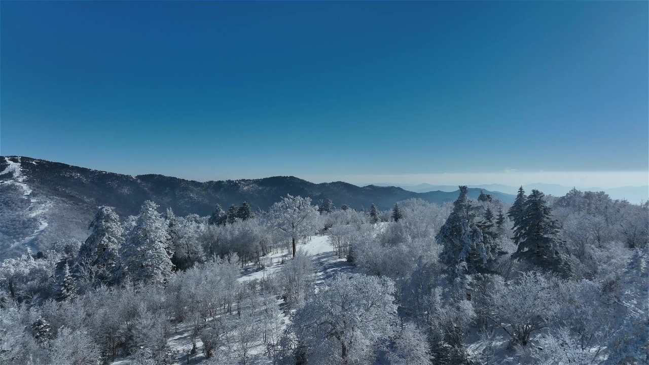高山雾凇