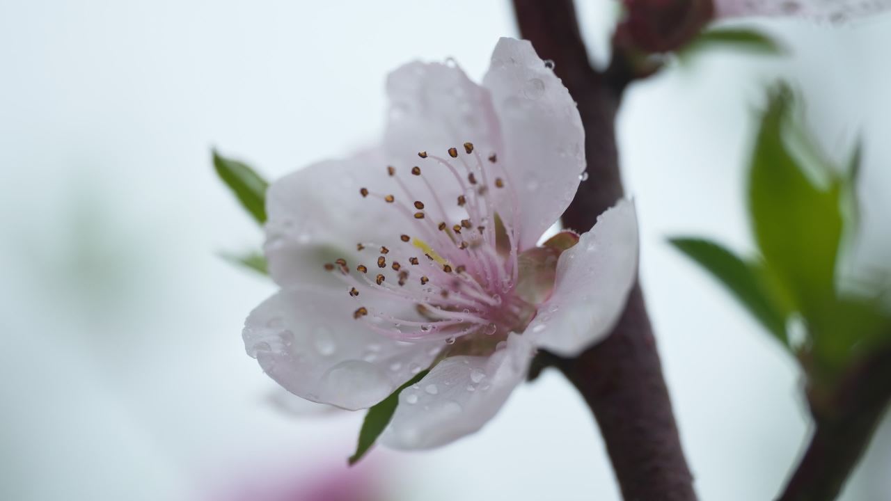 一天下雨水滴 2