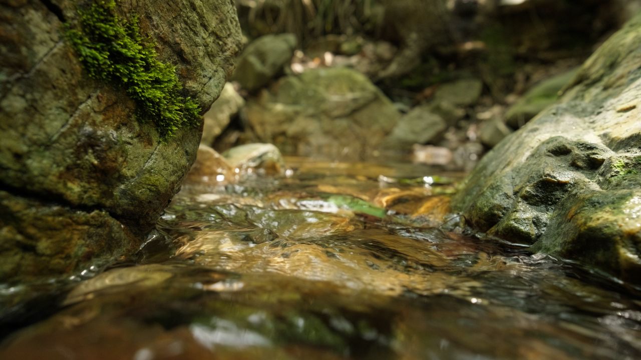 清澈山泉水温泉矿泉水小溪山涧 18