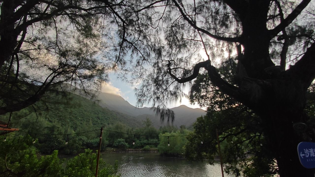 风景