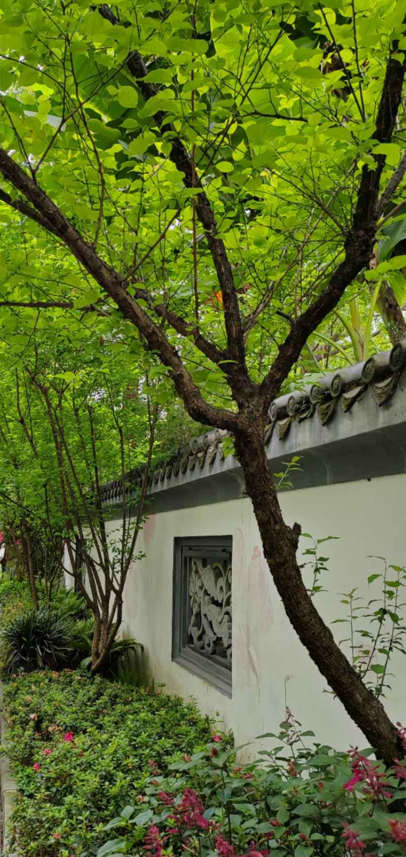 古风意境
