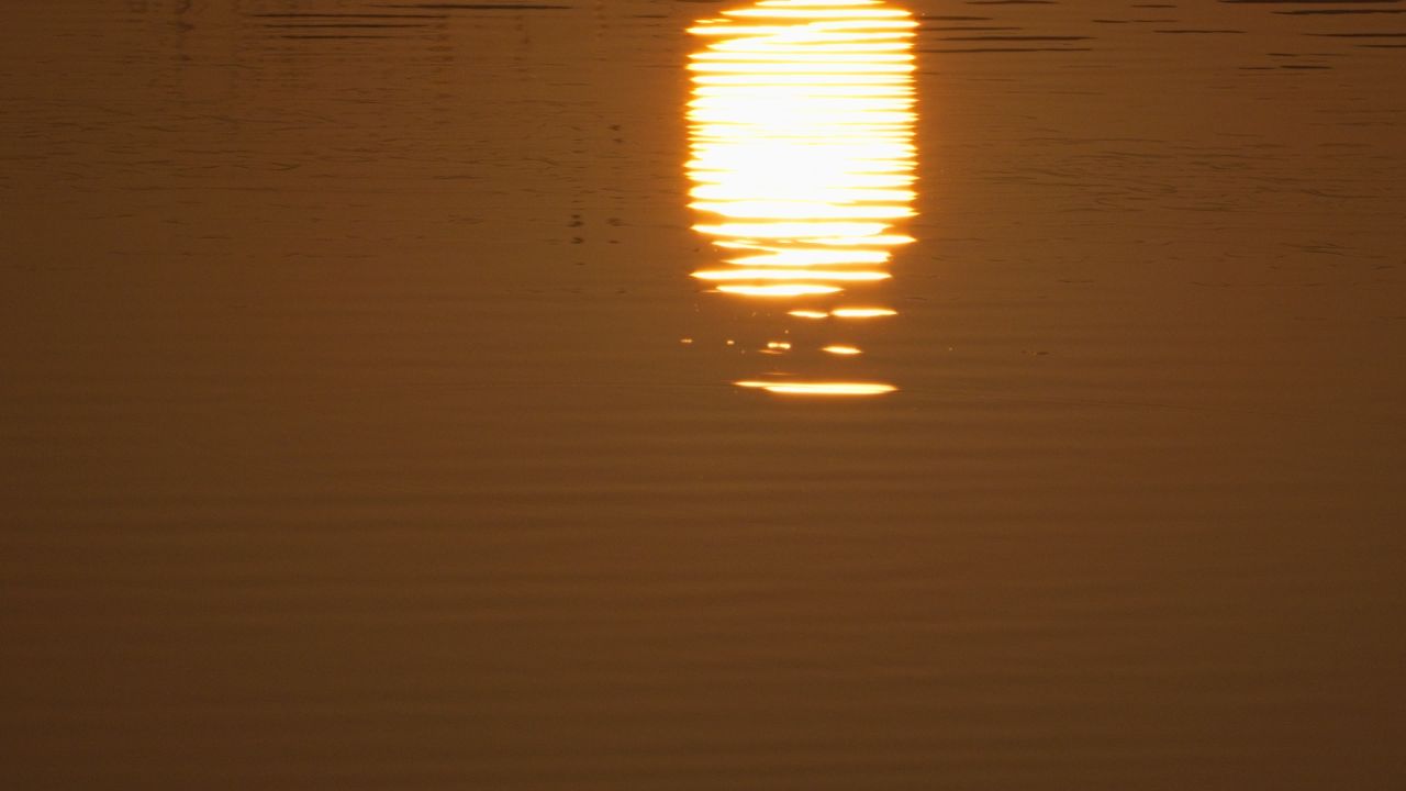 水中太阳倒影慢镜头4K实拍空镜
