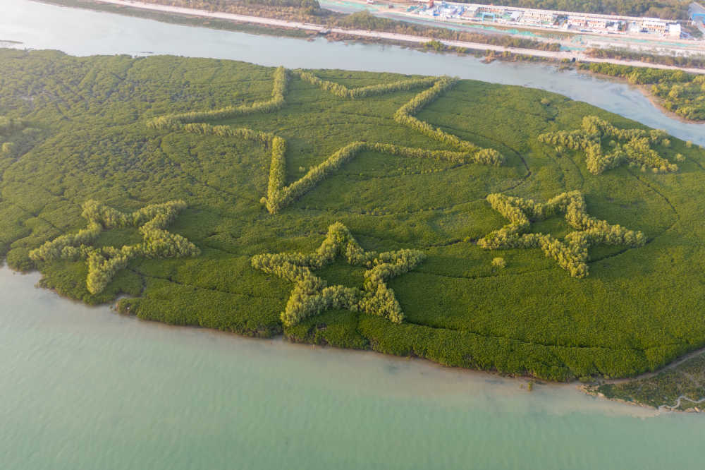 下潭尾滨海湿地公园