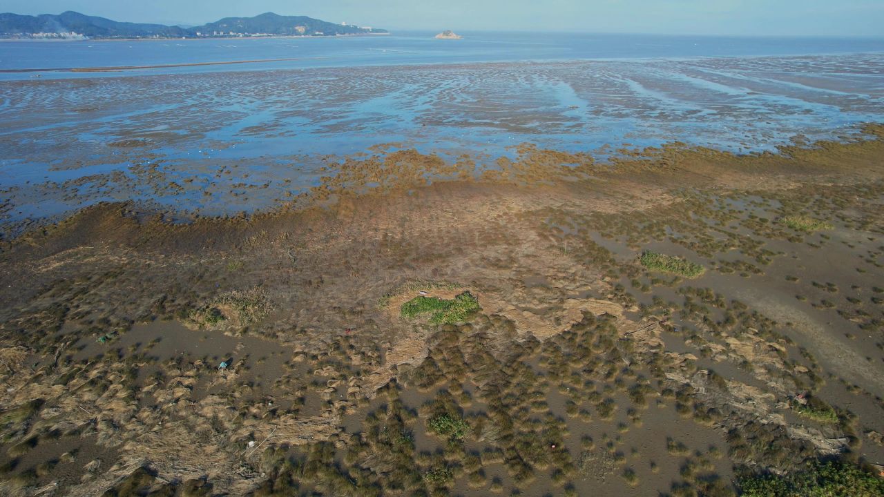 航拍福州闽江河口湿地公园 4