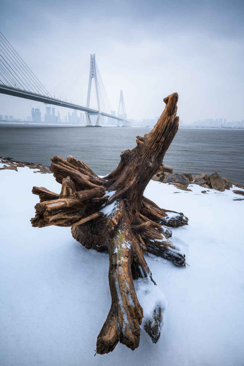 积雪封霜