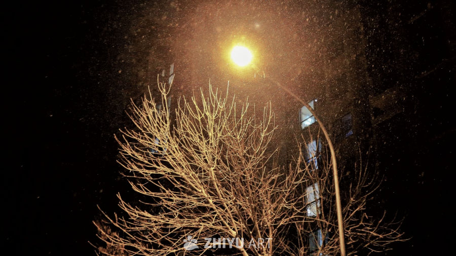 冬夜雪景：路灯下的枯枝