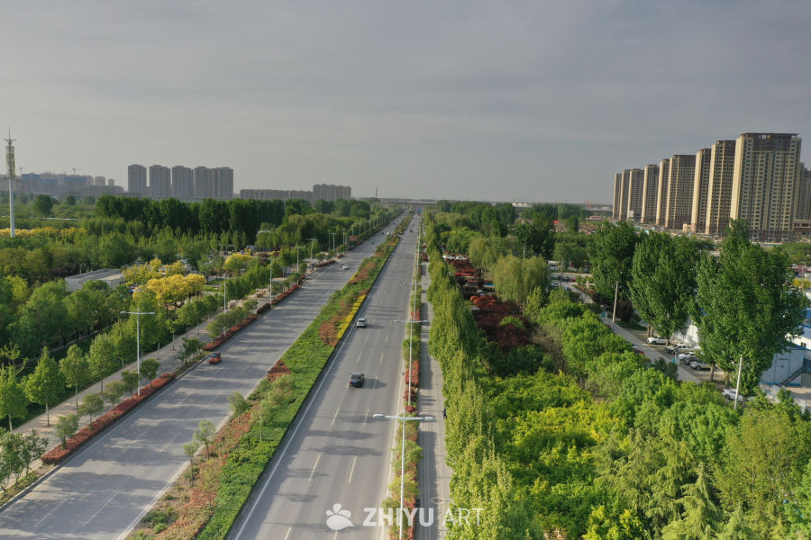 城市绿道与高楼