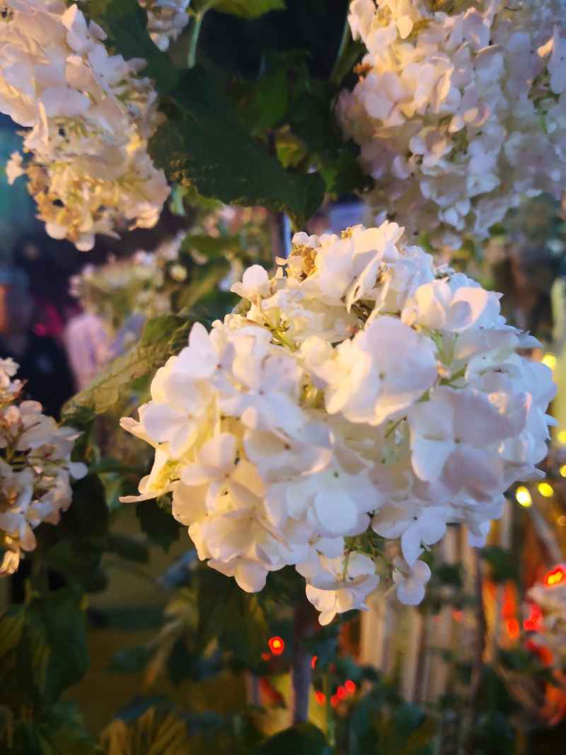 花