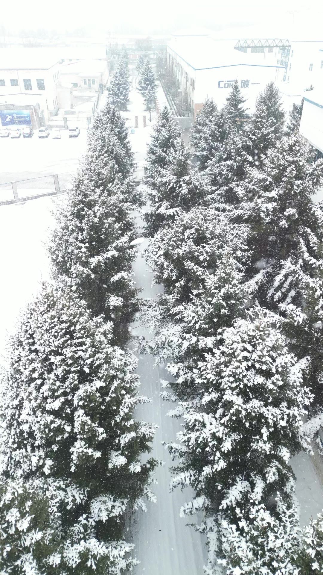 航拍 下雪 雪景 竖屏素材 7
