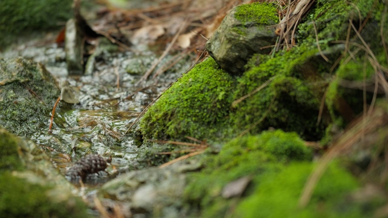 清澈山泉水温泉矿泉水小溪山涧 48