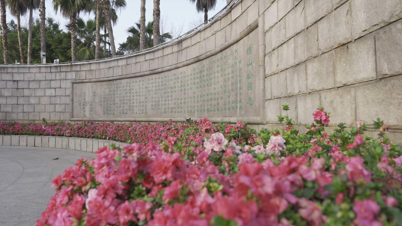 石墙与花海