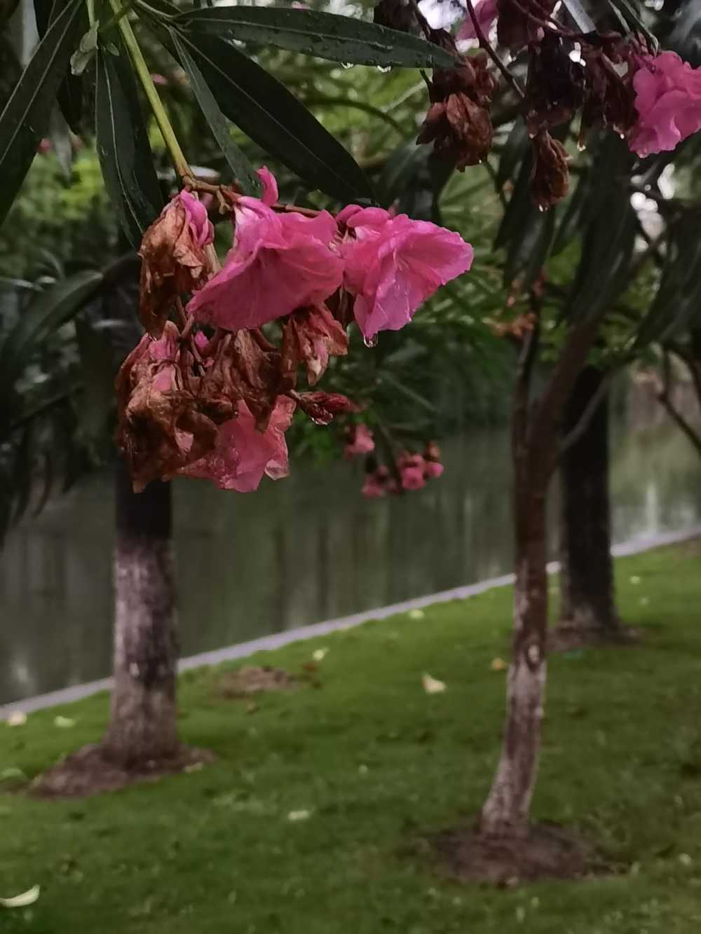 独舞