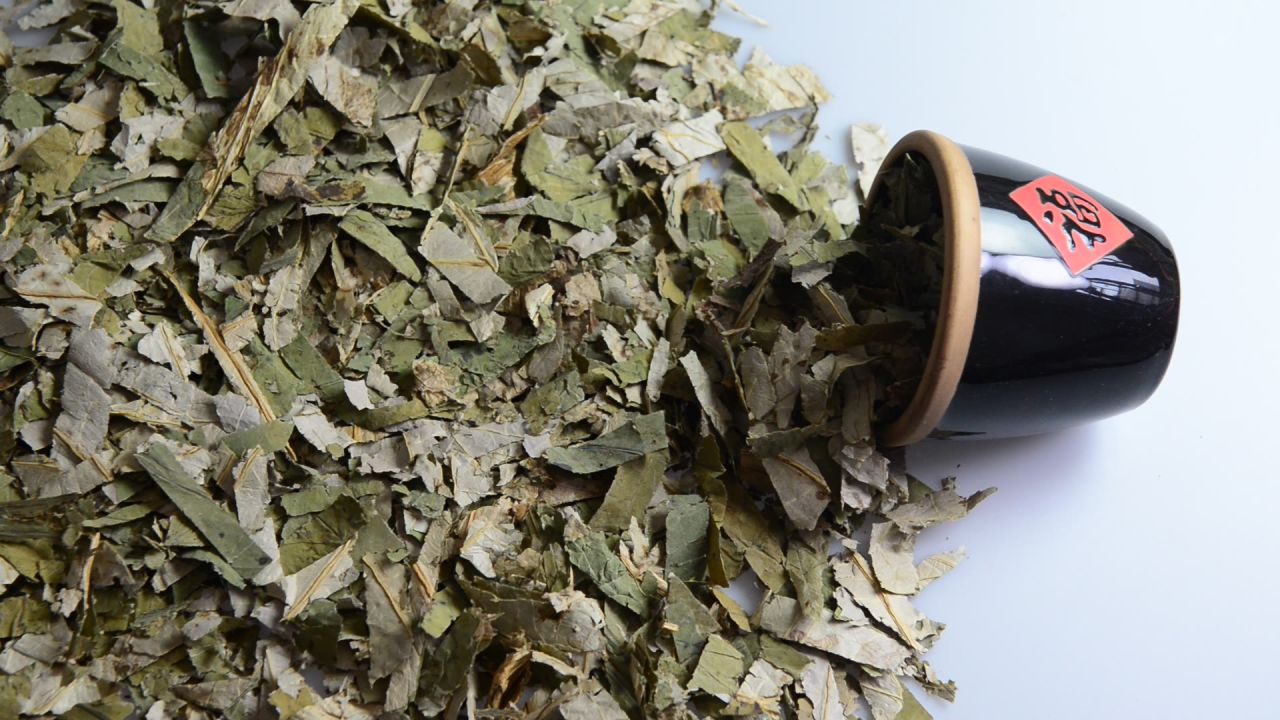 荷叶中药材 36
