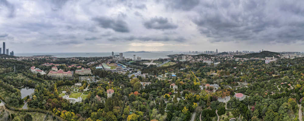 航拍山东青岛海岸线中山公园全景图