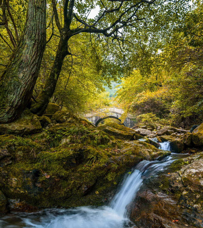秋季山谷中的溪流与小桥