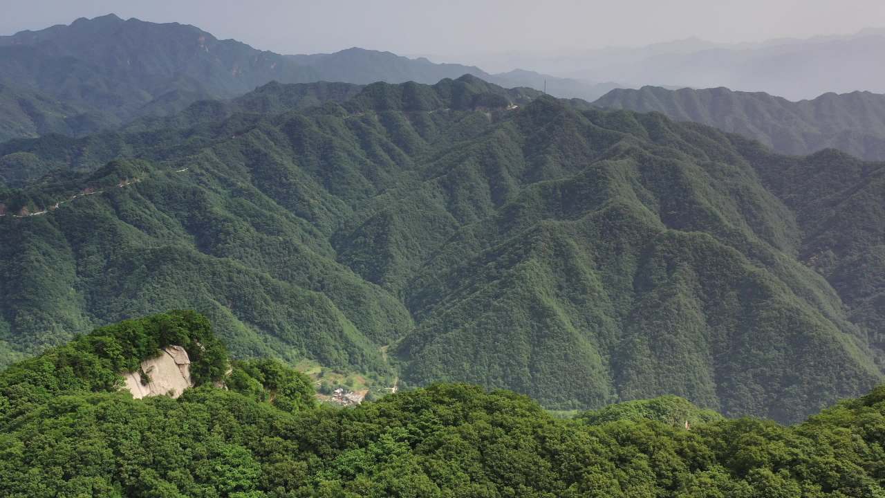 山间绿意盎然