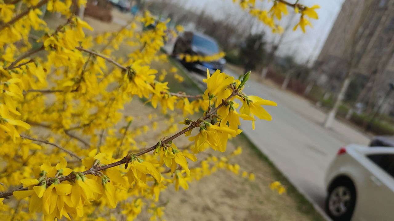 春景