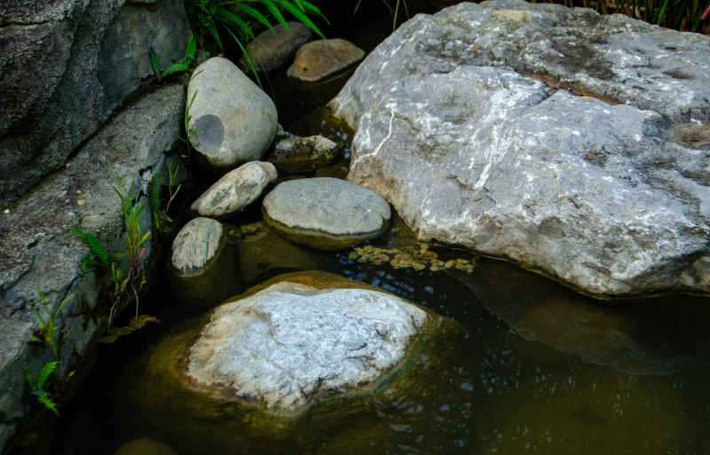 水域