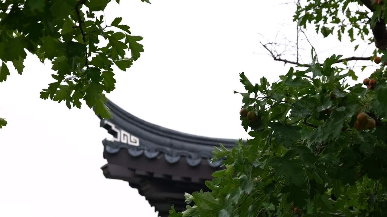 飞檐戗角