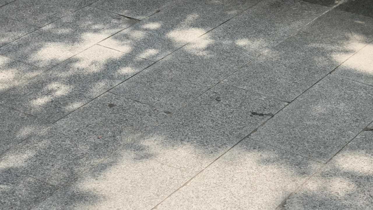 树影摇曳素材