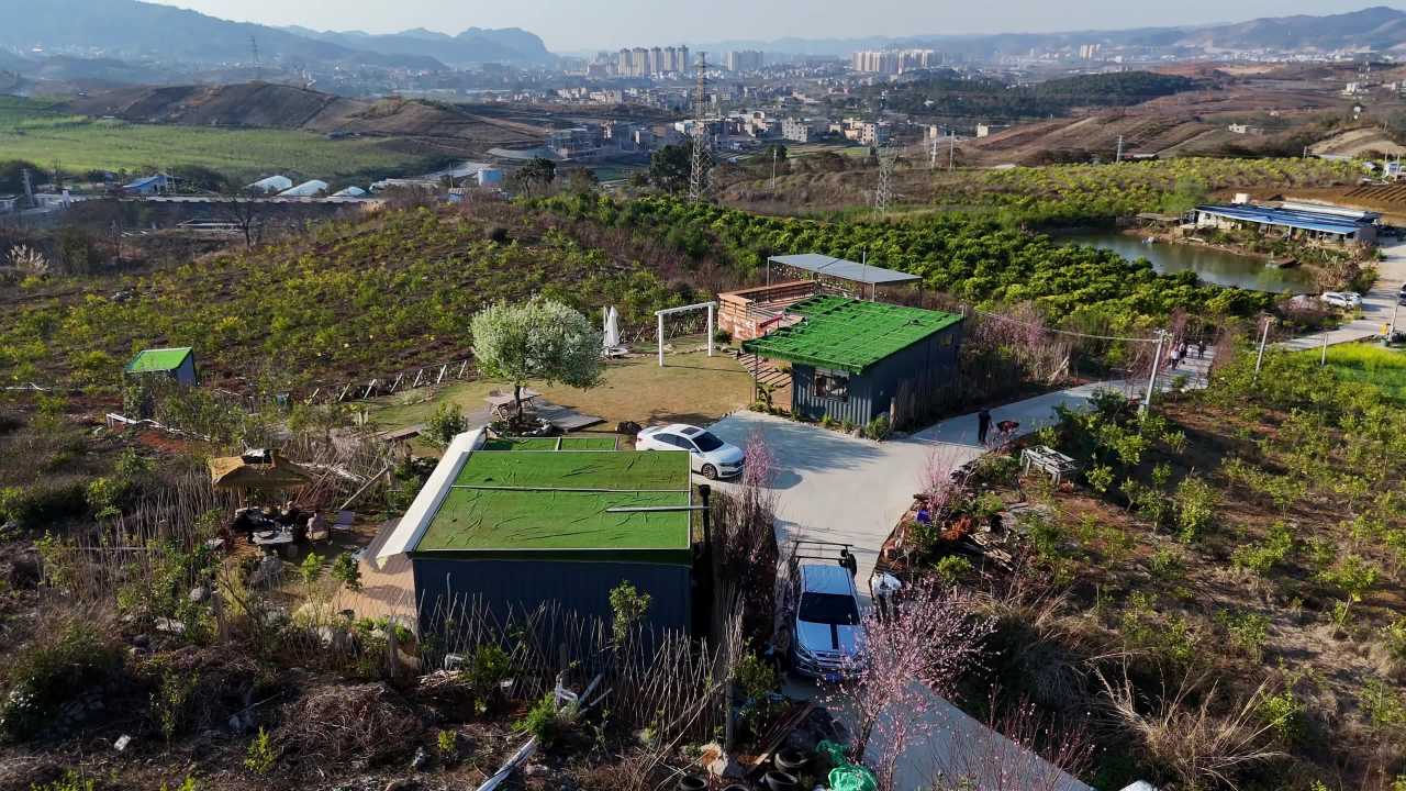 乡村果园风光