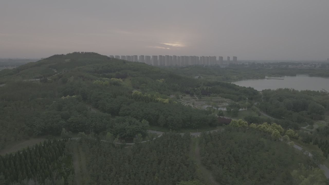 森林湖畔的城市剪影
