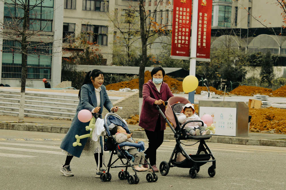新芽
