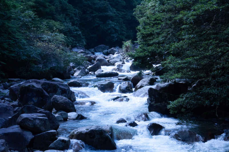 大河向东流