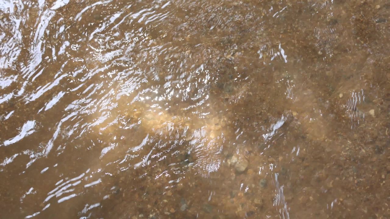 4K小溪阳光清澈流水