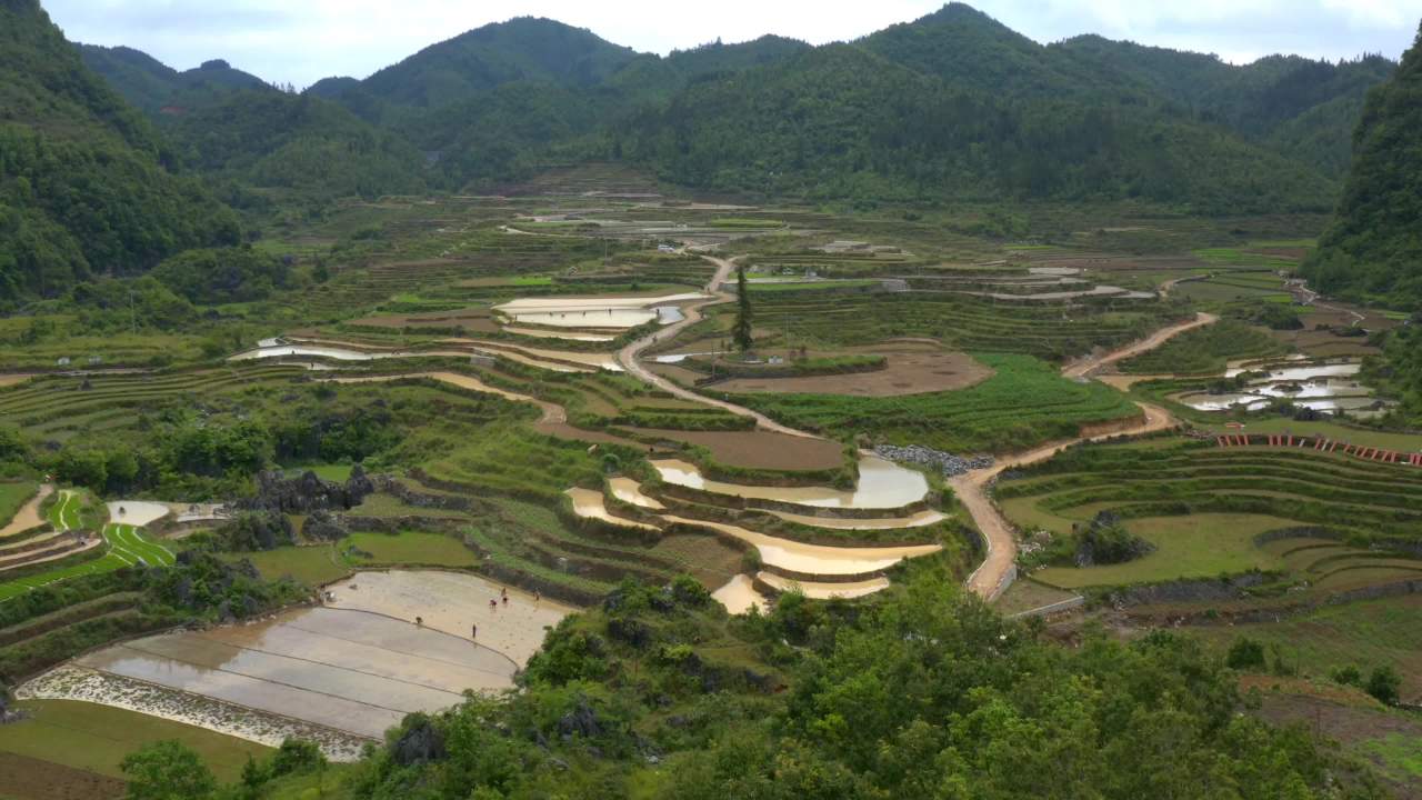 壮丽梯田风光