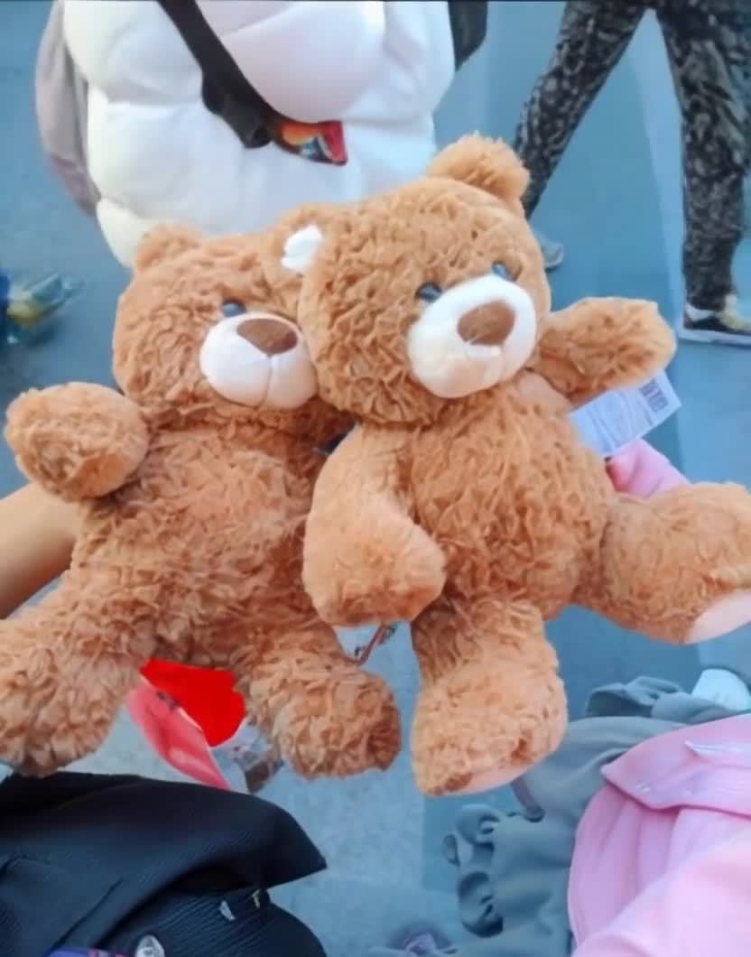 两个棕色泰迪熊玩具依偎在一起