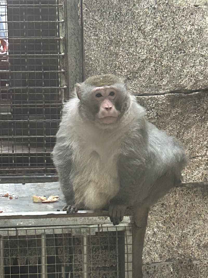 黔灵山之旅 5