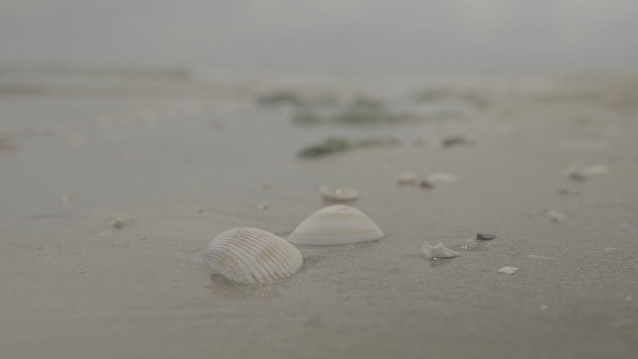 沙滩 16