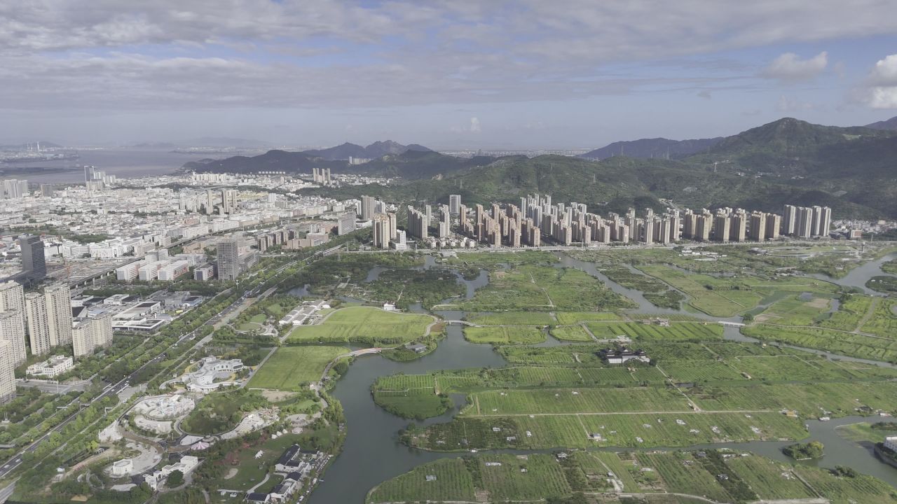 湿地与城市 5