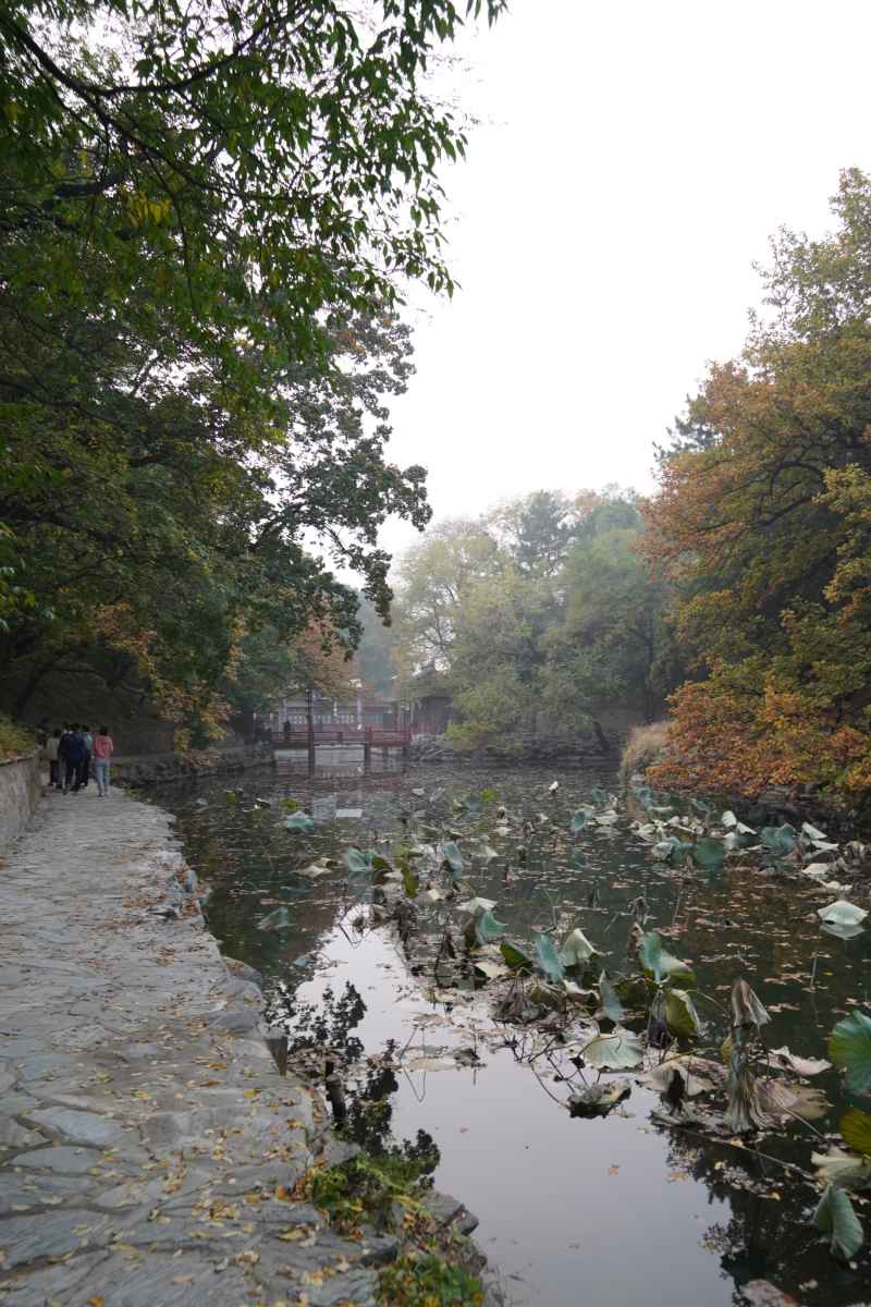 北京之旅 128