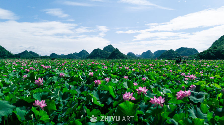 荷塘月色：山水间的宁静
