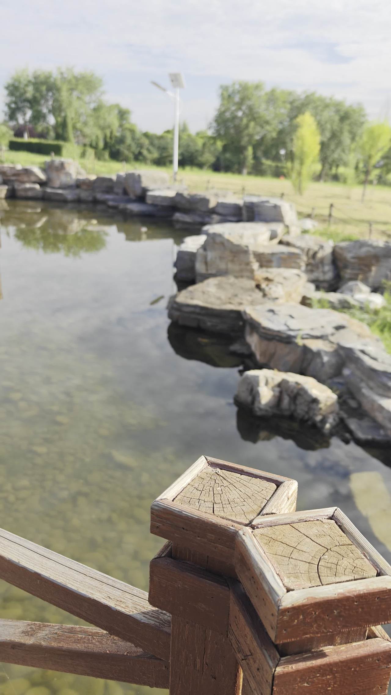 公园风景假山水景 1