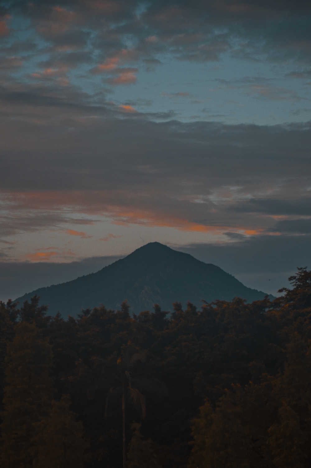 山