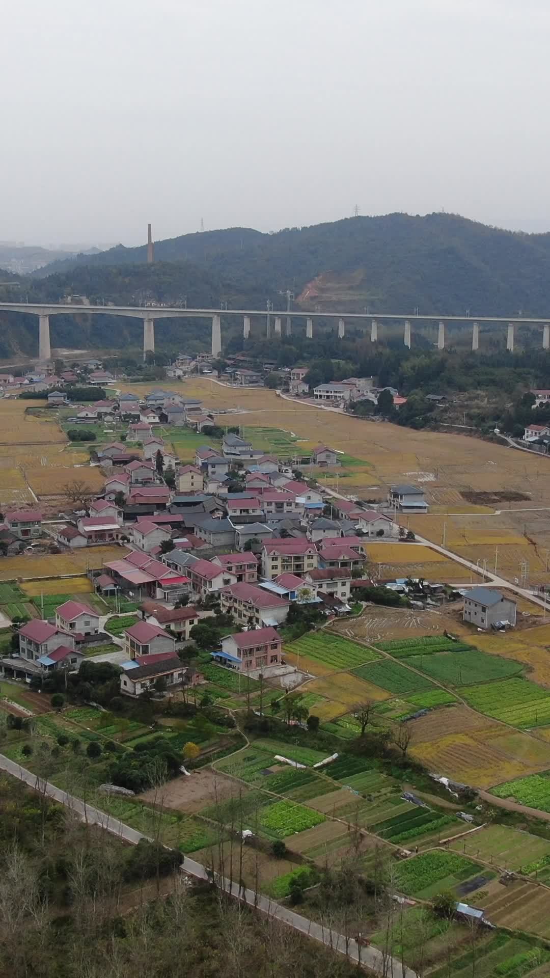 乡村宁静画卷
