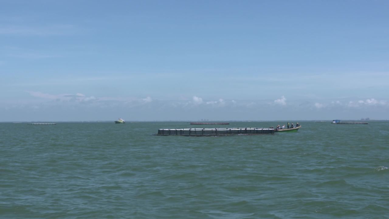 海洋牧场深海养殖