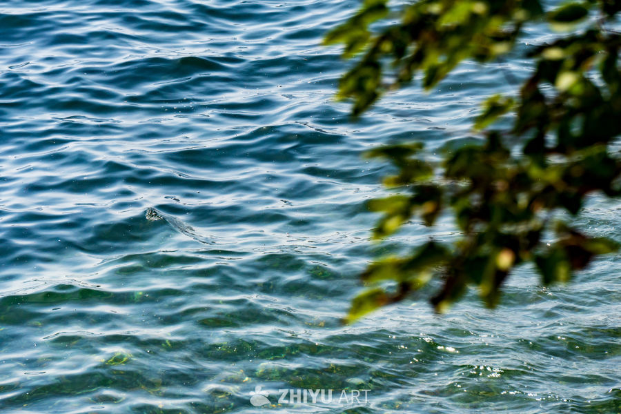 海 4