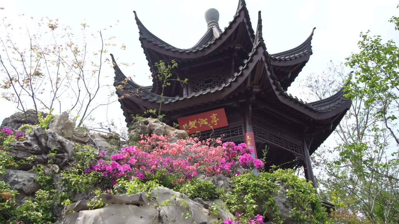园林里的花花草草 17