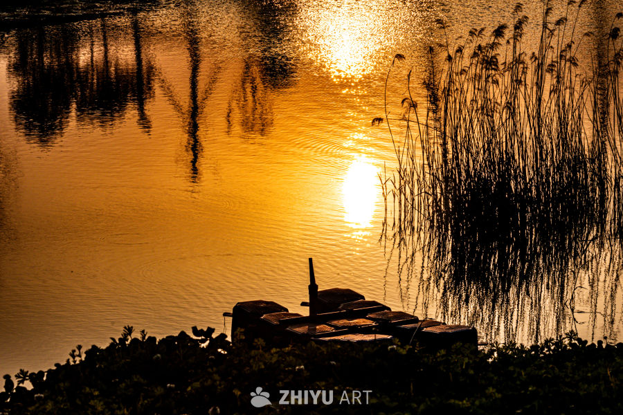 夕阳下的湖畔静谧时光